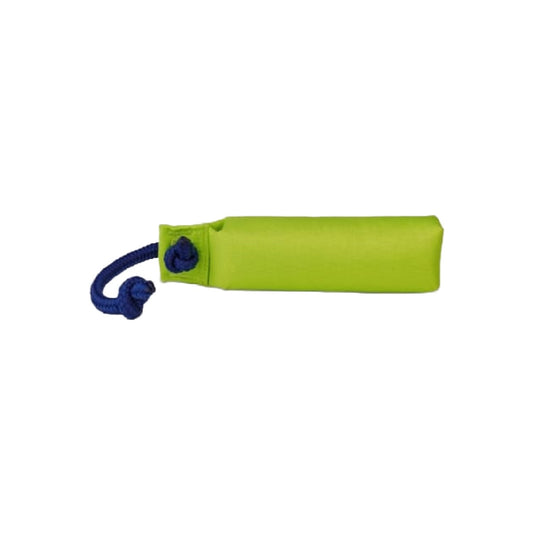 Coachi Training Dummy