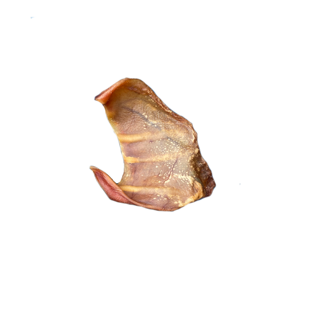 Net of 25 pig ears for dogs