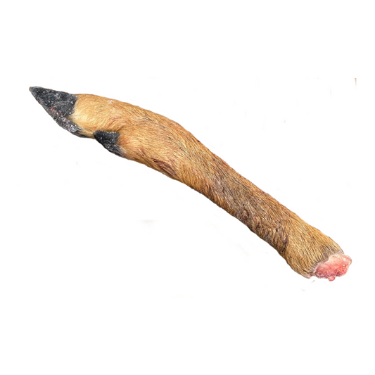Raw Doe Leg
